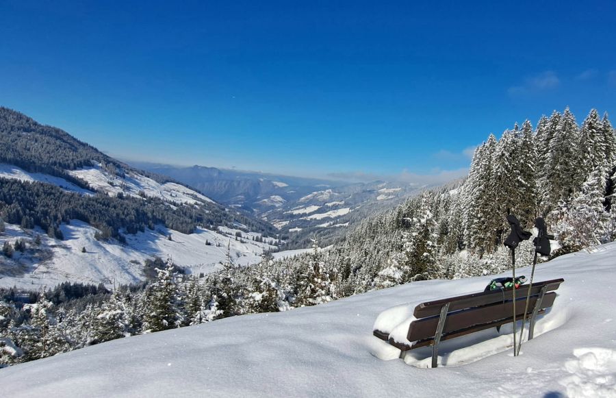 Winterlicher Panoramablick über verschneite Wälder, Berge und eine Bank im Schnee