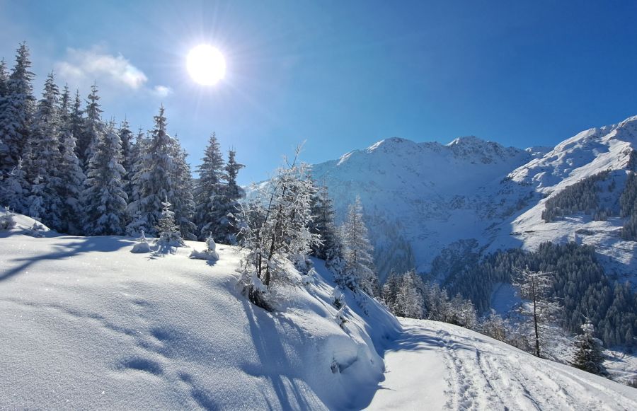 Verschneite Berglandschaft mit Tannen, Sonne und Spuren im Schnee