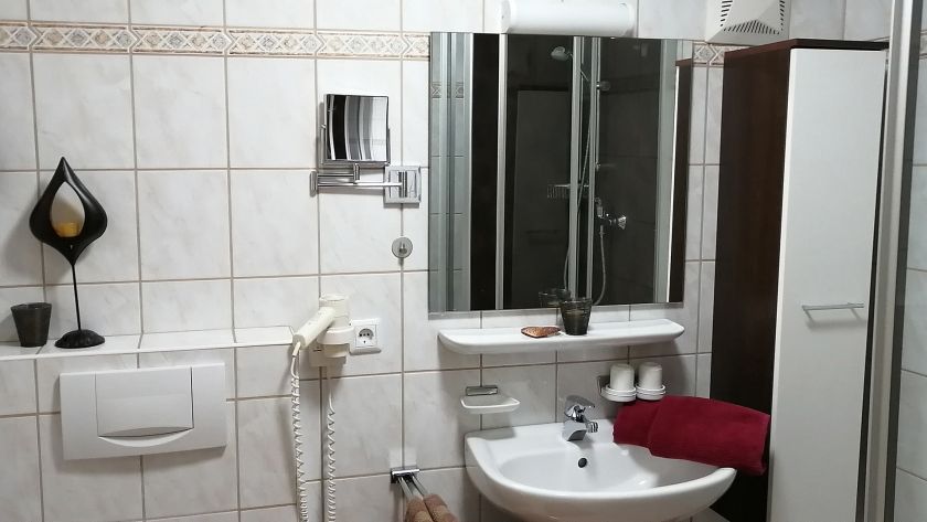Badezimmer im Appartement Gratlspitz mit Waschbecken, Spiegel und Dusche